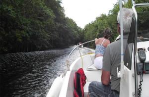 Can Gio Mangrove Forest by Speedboat